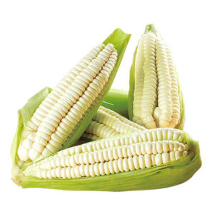 Vegetales congelados